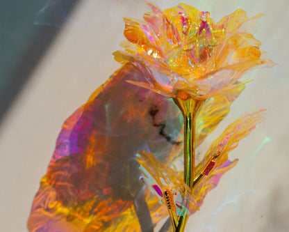GOLD ROSE